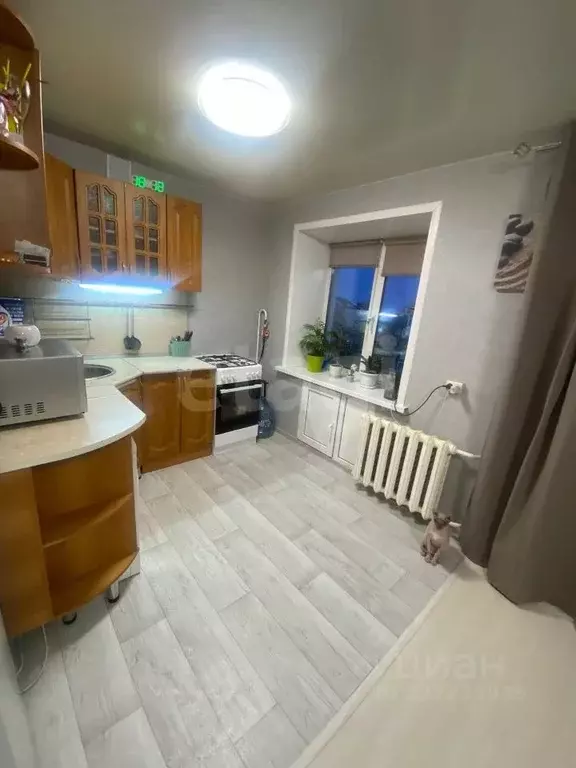 2-к кв. Курганская область, Курган ул. Коли Мяготина, 62 (43.0 м) - Фото 1