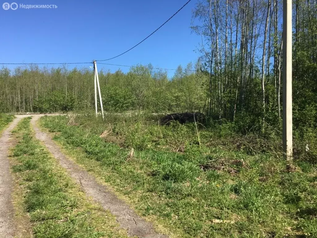 Участок в Приозерский район, Кузнечнинское городское поселение, ... - Фото 0