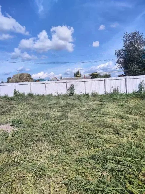 Участок в Новосибирская область, Колывань рп ул. Западная (5.5 сот.) - Фото 1