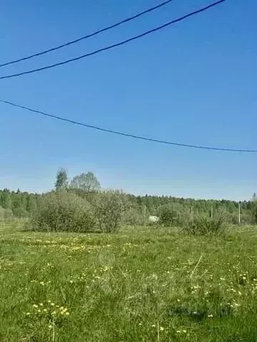 участок в московская область, клин городской округ, д. микляево 3 (8.0 . - Фото 1