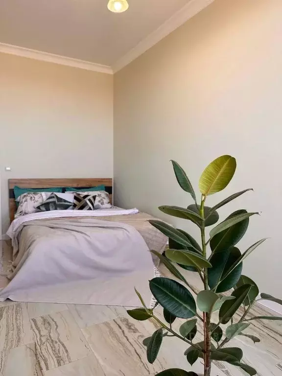 1-к кв. Дагестан, Махачкала ул. Магарамкентская, 40 (50.0 м) - Фото 2