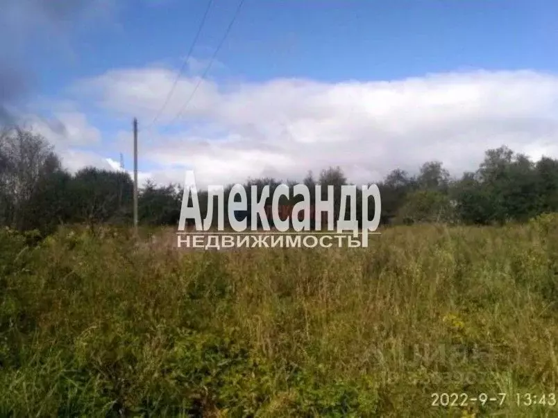 Участок в Ленинградская область, Волховский район, Вындиноостровское ... - Фото 1