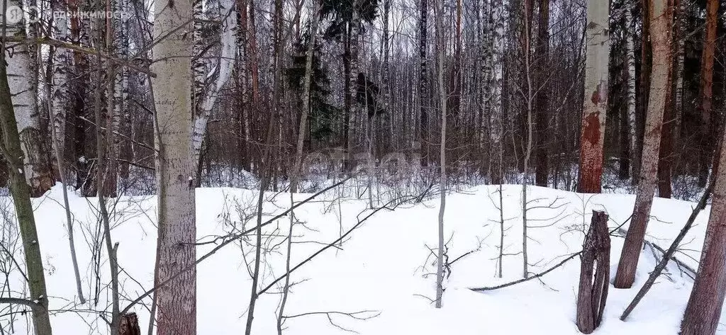 Участок в Ярославский район, Кузнечихинское сельское поселение, ... - Фото 1