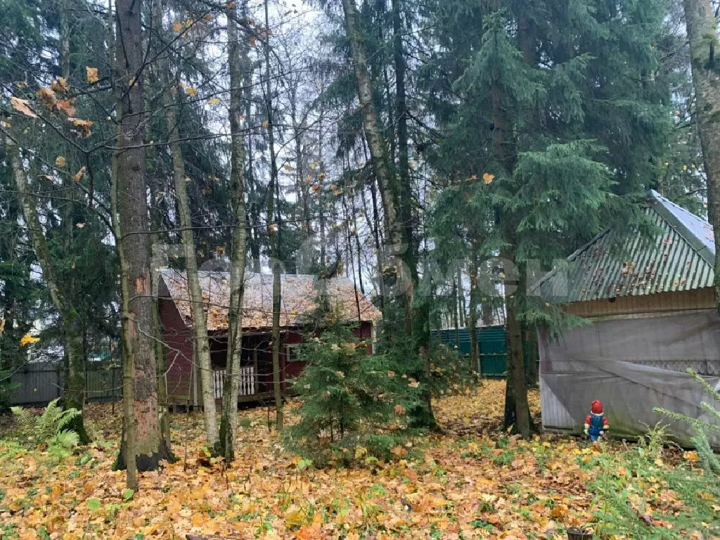 Продается участок в г. Лобня - Фото 1