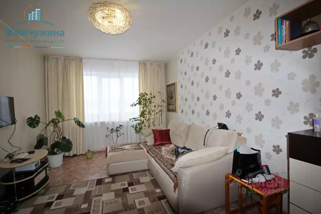 2-к кв. Ульяновская область, Димитровград Московская ул., 44 (49.9 м) - Фото 1