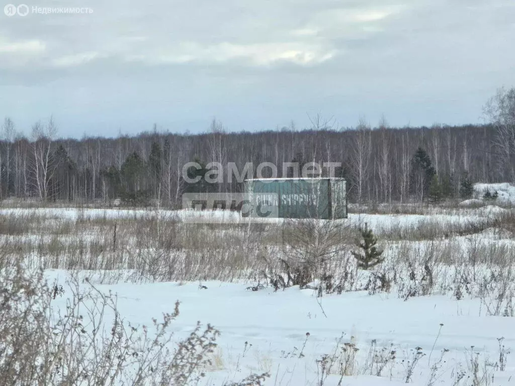 Участок в Полетаевское сельское поселение, посёлок железнодорожный ... - Фото 0