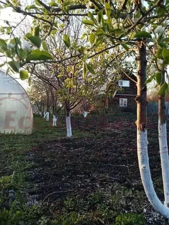 Дом в Курганская область, Кетовский муниципальный округ, д. Северное  ... - Фото 0