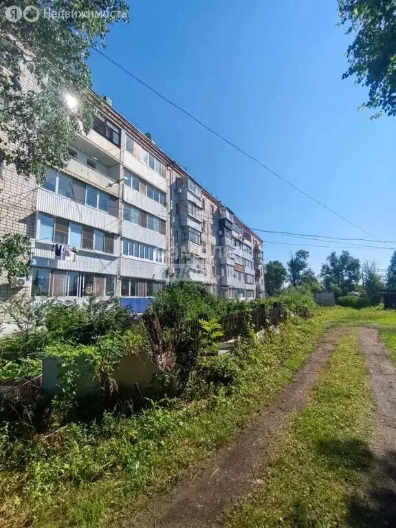 1-комнатная квартира: посёлок Смидович, улица Кирова, 5 (30.5 м) - Фото 1
