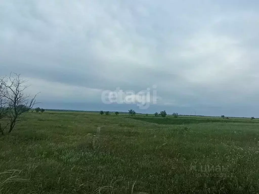 Участок в Крым, с. Ленинское ул. Садовая (922.34 сот.) - Фото 1