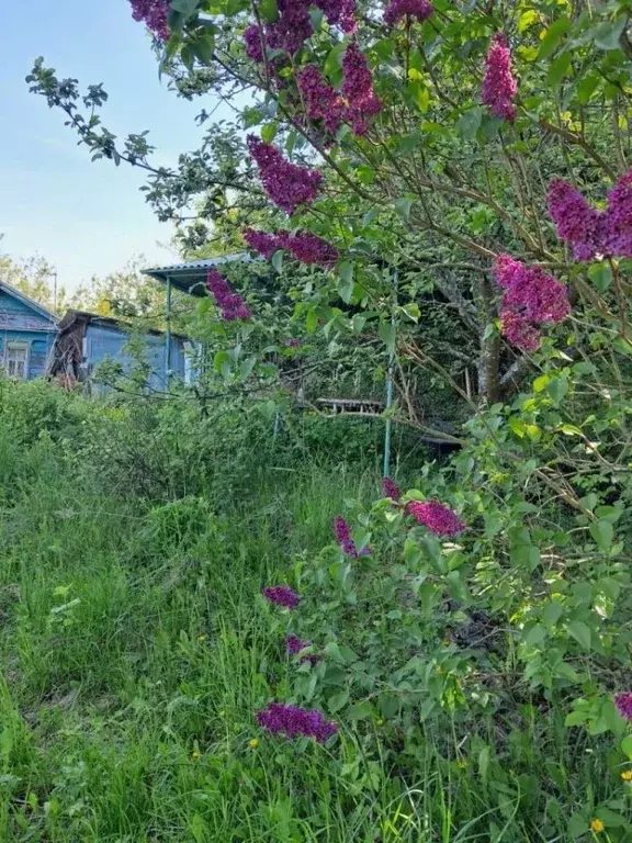 Дом в Нижегородская область, Павловский район, с. Грудцино 40 (34 м) - Фото 1