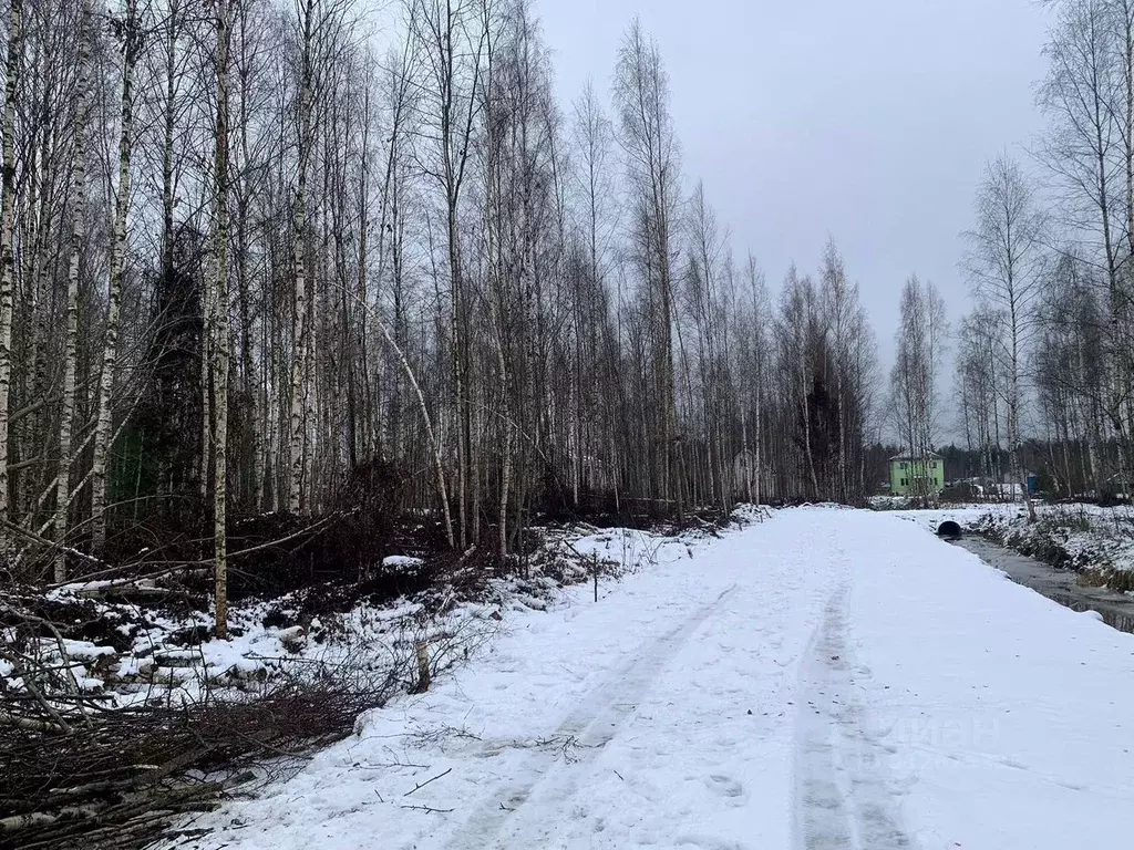 Участок в Ленинградская область, Всеволожское городское поселение  ... - Фото 1