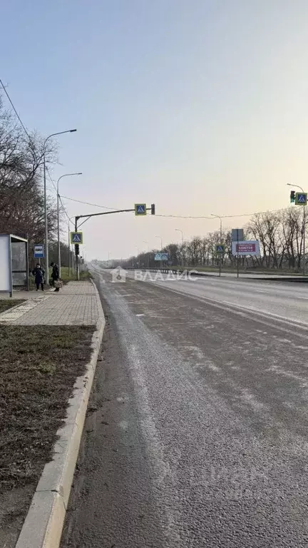 Участок в Белгородская область, Строитель Яковлевский городской округ, ... - Фото 1