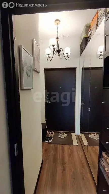 Квартира-студия: Санкт-Петербург, проспект Ветеранов, 171к4 (23.8 м) - Фото 1