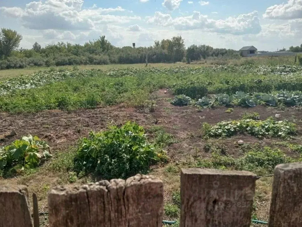 Дом в Волгоградская область, Еланский район, Вязовское с/пос, с. ... - Фото 2
