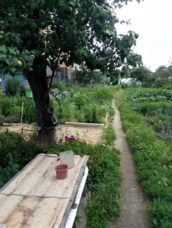 Дом в Ярославская область, Ярославль наб. 1-я Закоторосльная, 46 (80 ... - Фото 1