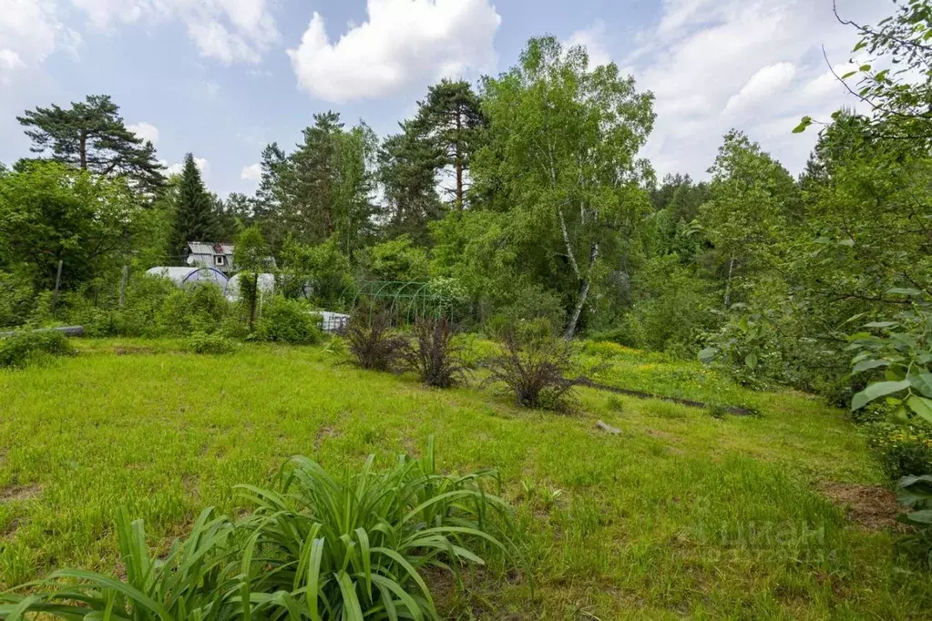 Участок в Кемеровская область, Новокузнецкий муниципальный округ, Луч ... - Фото 2