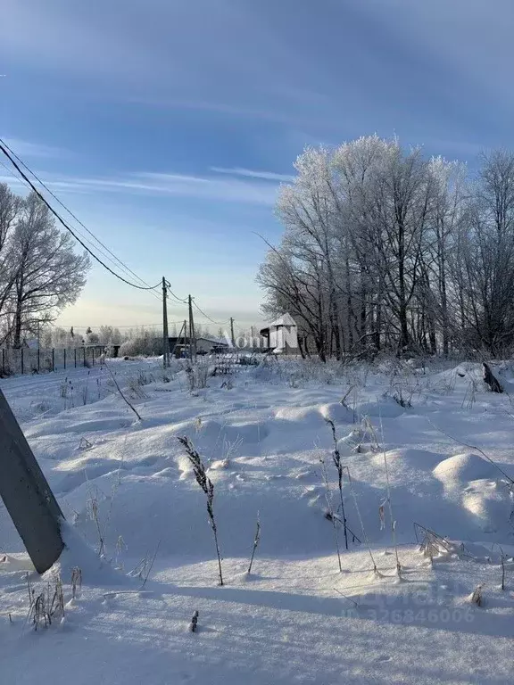 Участок в Ленинградская область, Ломоносовский район, Пениковское ... - Фото 1