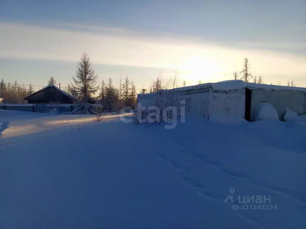 Участок в Ямало-Ненецкий АО, Новый Уренгой Титан ДНТ, 125 (6.0 сот.) - Фото 2