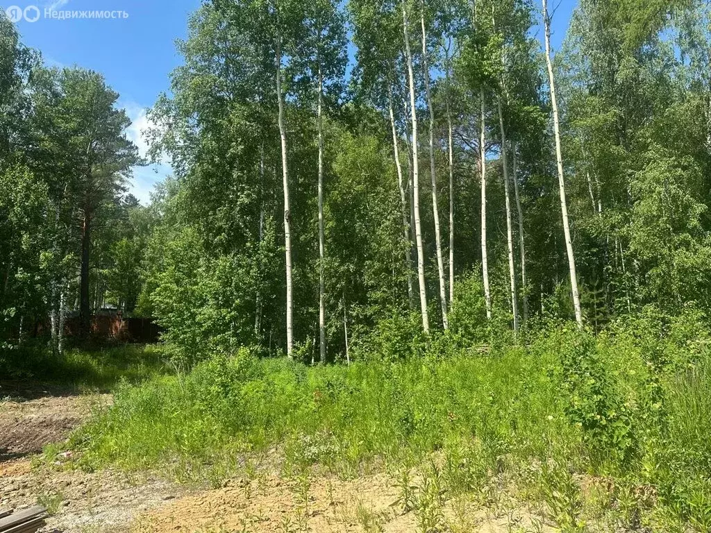 Участок в Иркутский муниципальный округ, СНТ Байкальский берег (37 м) - Фото 0