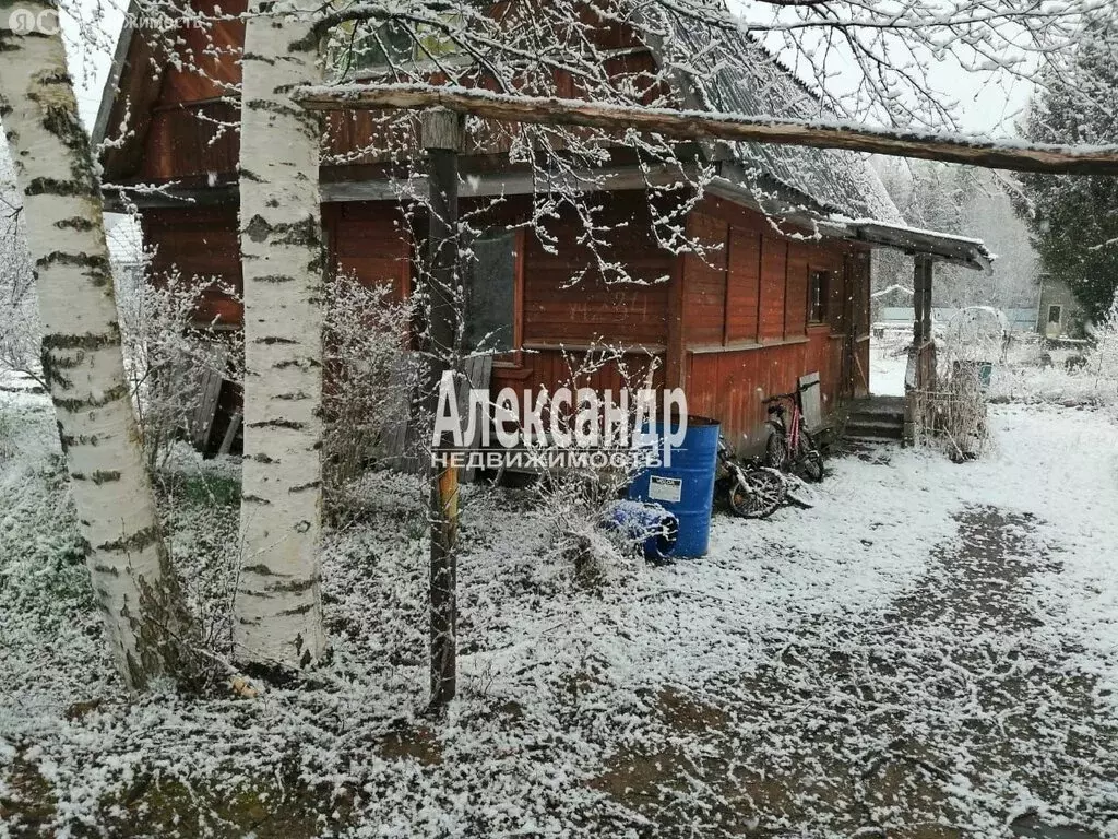 Дом в Янегское сельское поселение, СНТ Рахковичи (35 м) - Фото 1