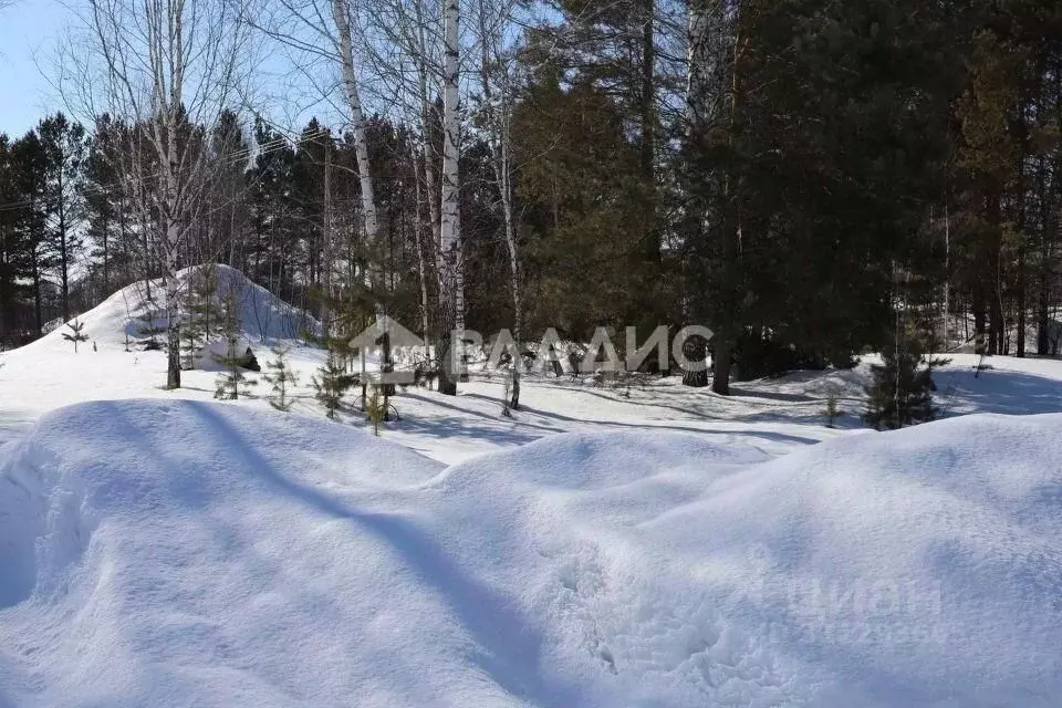 Участок в Новосибирская область, Колыванский район, Луговое СТ  ... - Фото 0