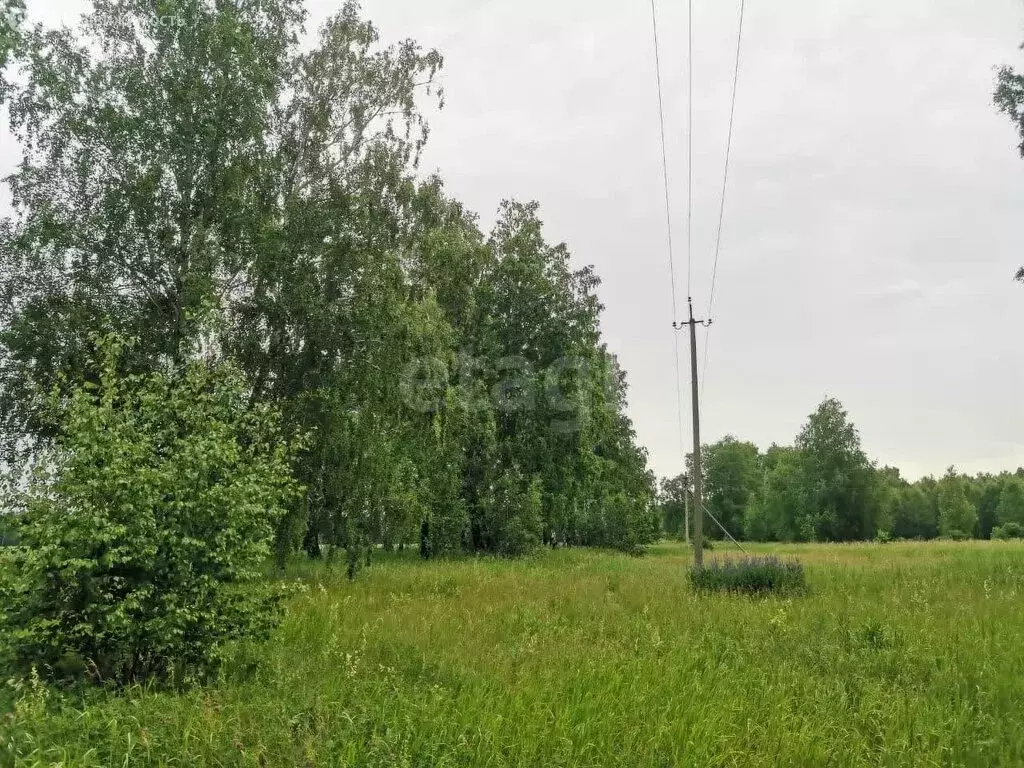 Участок в Челябинская область, Красноармейский муниципальный округ, ... - Фото 1
