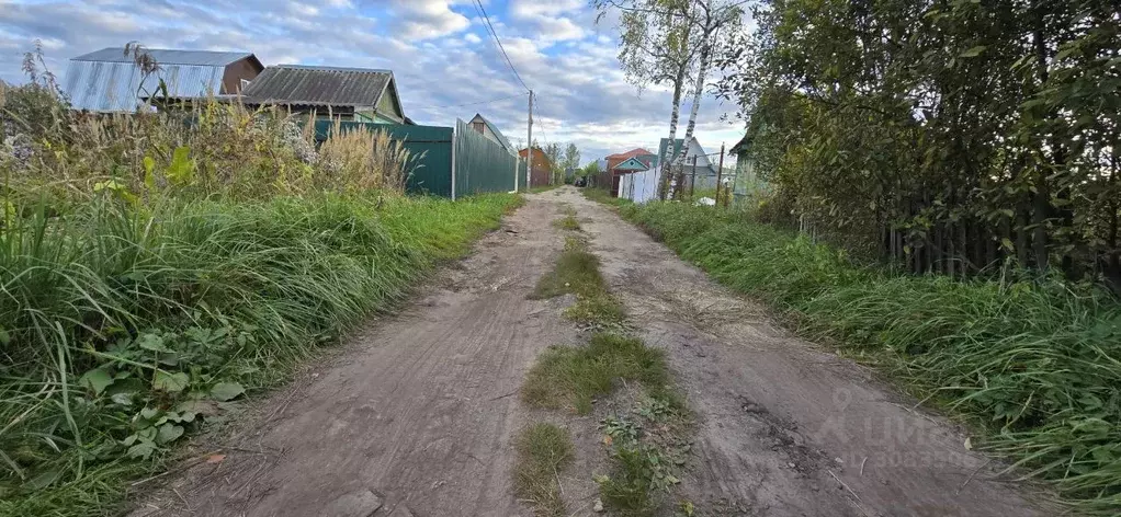 Участок в Московская область, Дубна Весна садовое товарищество, 331 ... - Фото 1