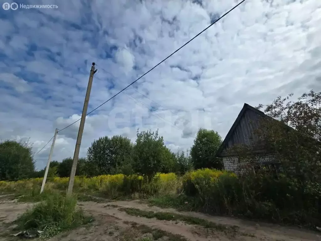 Участок в деревня Добрунь, садоводческое некоммерческое товарищество ... - Фото 1