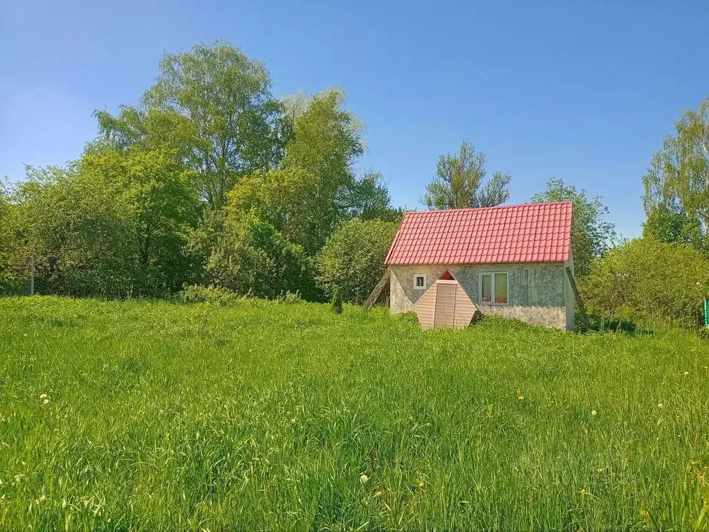 Участок в Тверская область, Торжокский район, д. Коноплище  (35.0 ... - Фото 1