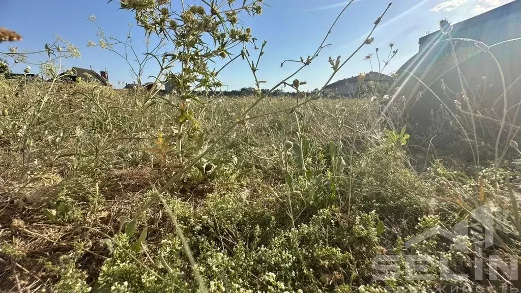 Участок в Крым, Евпатория городской округ, Заозерное пгт ул. ... - Фото 1