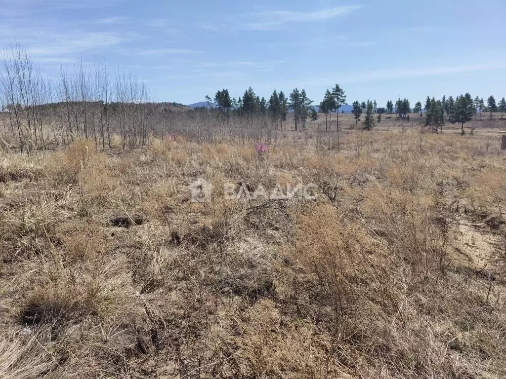 Участок в Бурятия, Улан-Удэ 130-й мкр,  (6.0 сот.) - Фото 0