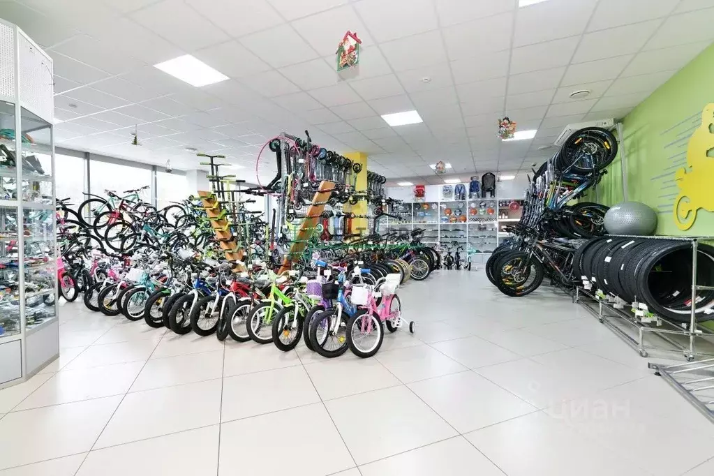 Помещение свободного назначения в Московская область, Павловский Посад ... - Фото 1