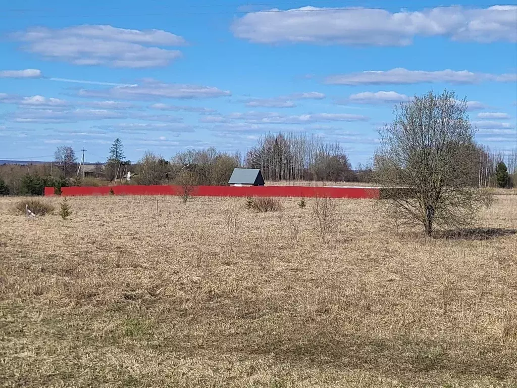 Участок в Вологодская область, д. Березник  (25.0 сот.) - Фото 2