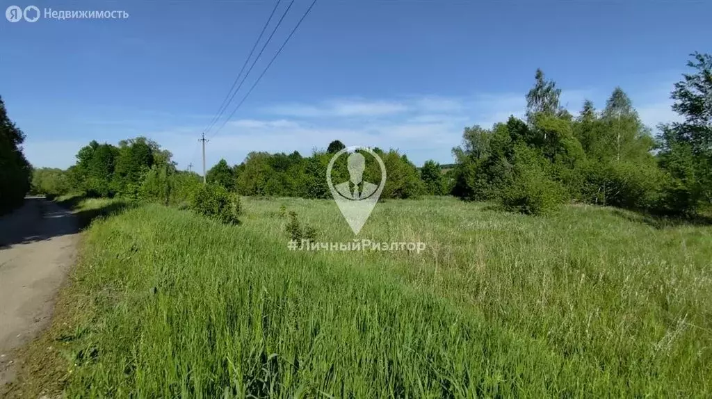 Участок в Рязанская область, Михайловский муниципальный округ, деревня ... - Фото 2