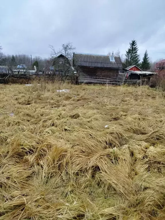 Участок в Новгородская область, Новгородский район, Ермолинское с/пос, ... - Фото 1