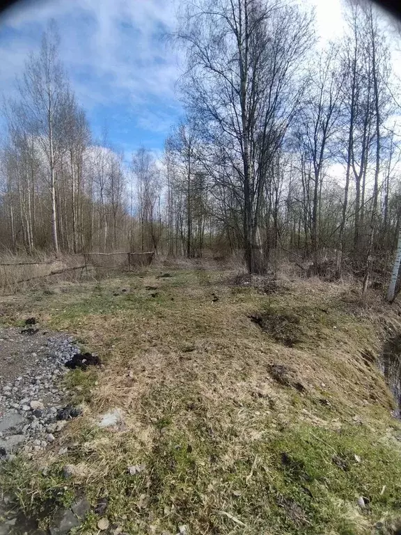 Участок 6 сот. (ИЖС) - Фото 1