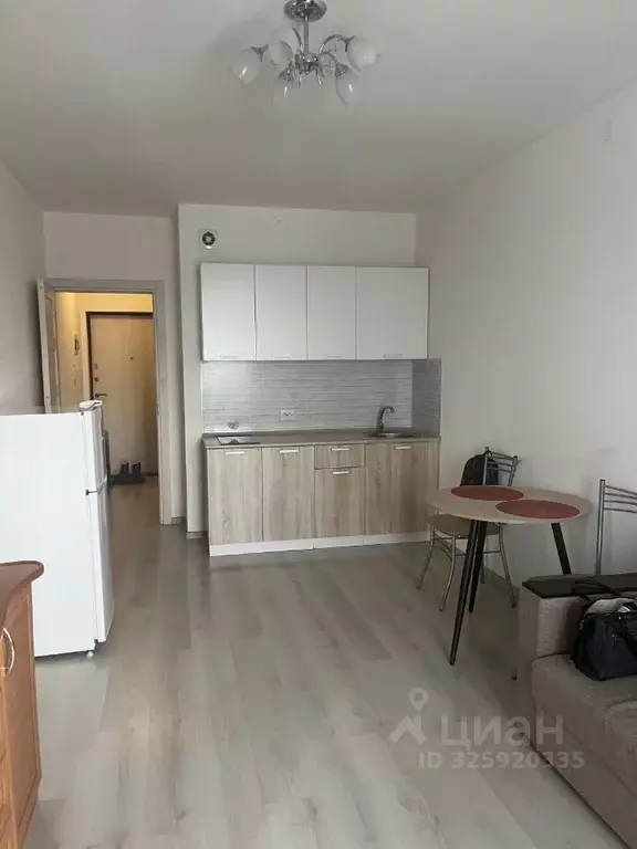 Студия Санкт-Петербург просп. Ветеранов, 173к1 (24.6 м) - Фото 0