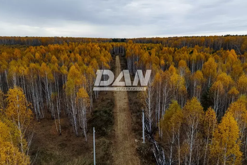 Участок в Челябинская область, Сосновский муниципальный округ, ... - Фото 1