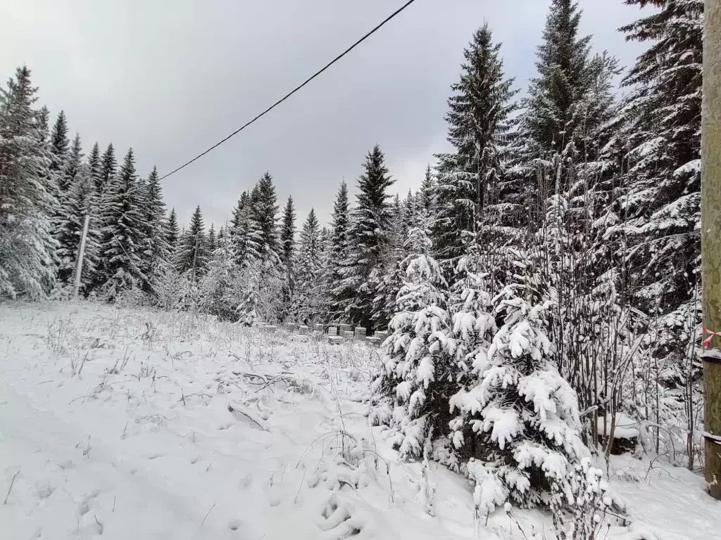 Участок, 13 сот., поселения (ижс) - Фото 1