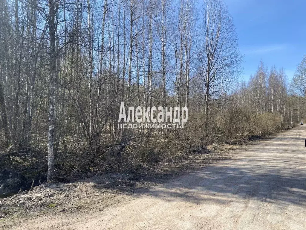 Участок в Ленинградская область, Выборг ул. Безмятежная (26.2 сот.) - Фото 1