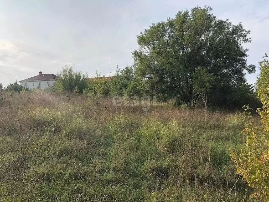 Участок в Крым, Симферопольский район, Чистенское с/пос, Родничок СПК ... - Фото 1