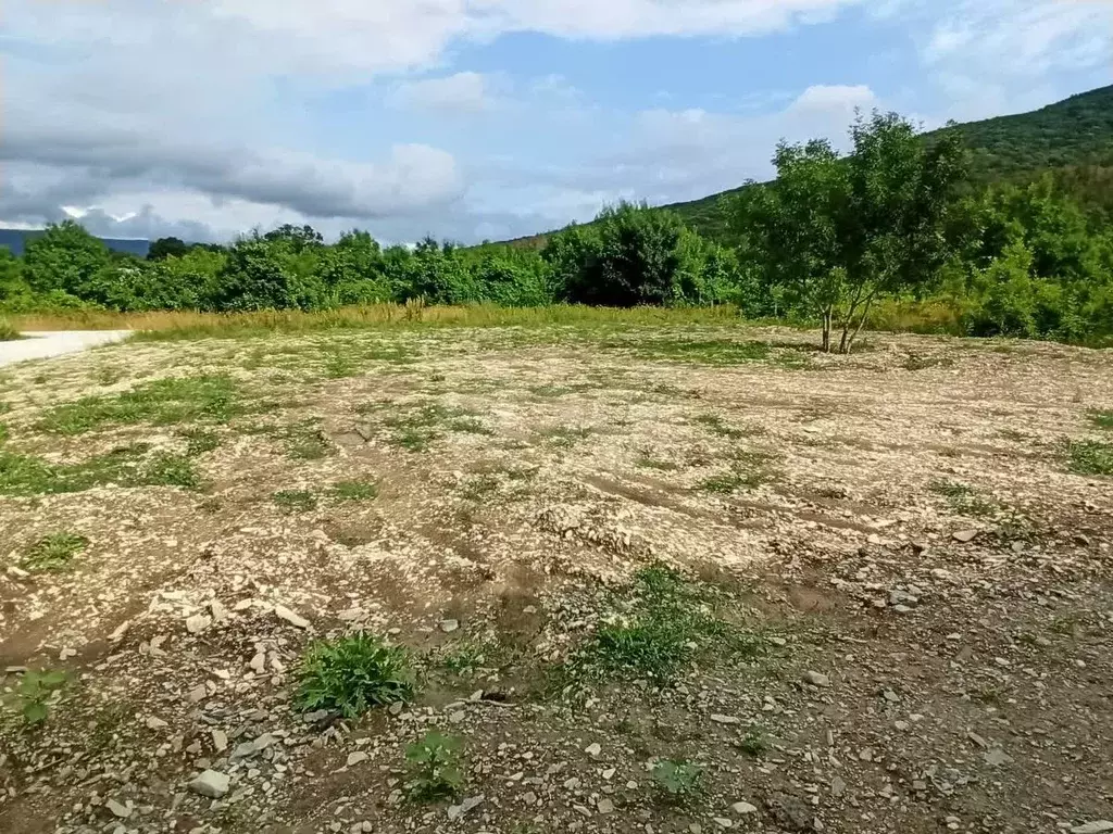 Участок в Краснодарский край, Геленджик городской округ, с. Кабардинка ... - Фото 1