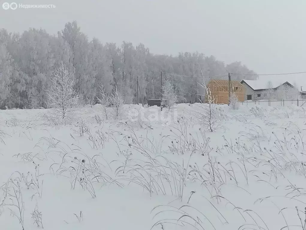 Участок в Нижегородская область, Кстовский муниципальный округ, село ... - Фото 1