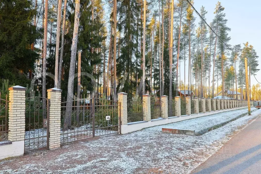 Участок в Ленинградская область, Всеволожский район, Бугровское ... - Фото 2