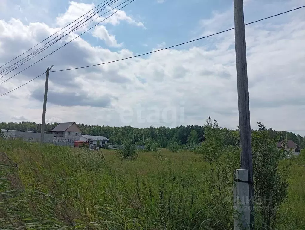 Участок в Курганская область, Кетовский муниципальный округ, Хуторок ... - Фото 1