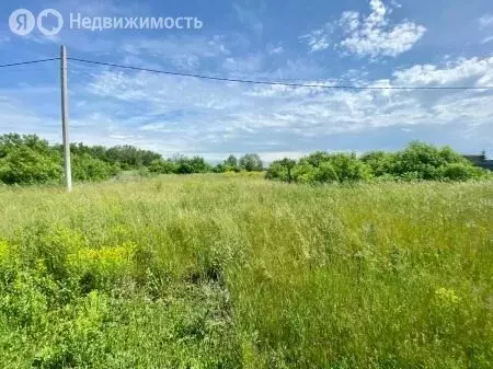 Участок в село Любино-Малороссы, улица Зелёновка, 31 (30 м) - Фото 1
