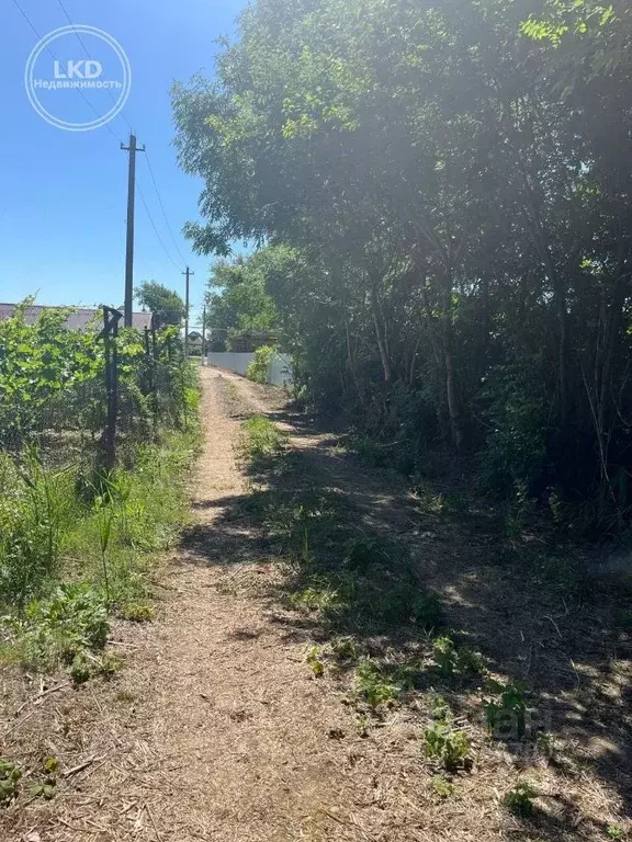 Участок в Краснодарский край, Славянский район, Петровское с/пос, ... - Фото 2