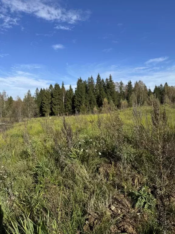 Участок в Московская область, Клин городской округ, Новорижские Ключи ... - Фото 0