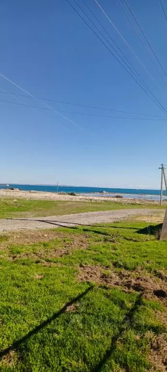 Участок в Крым, Ленинский район, Заветненское с/пос, Пантикапей СПК  ... - Фото 1