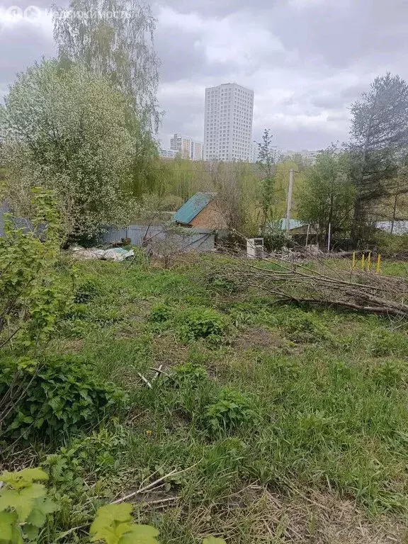 Участок в Новосибирск, садовое товарищество Сибиряк, Цветочная улица ... - Фото 2